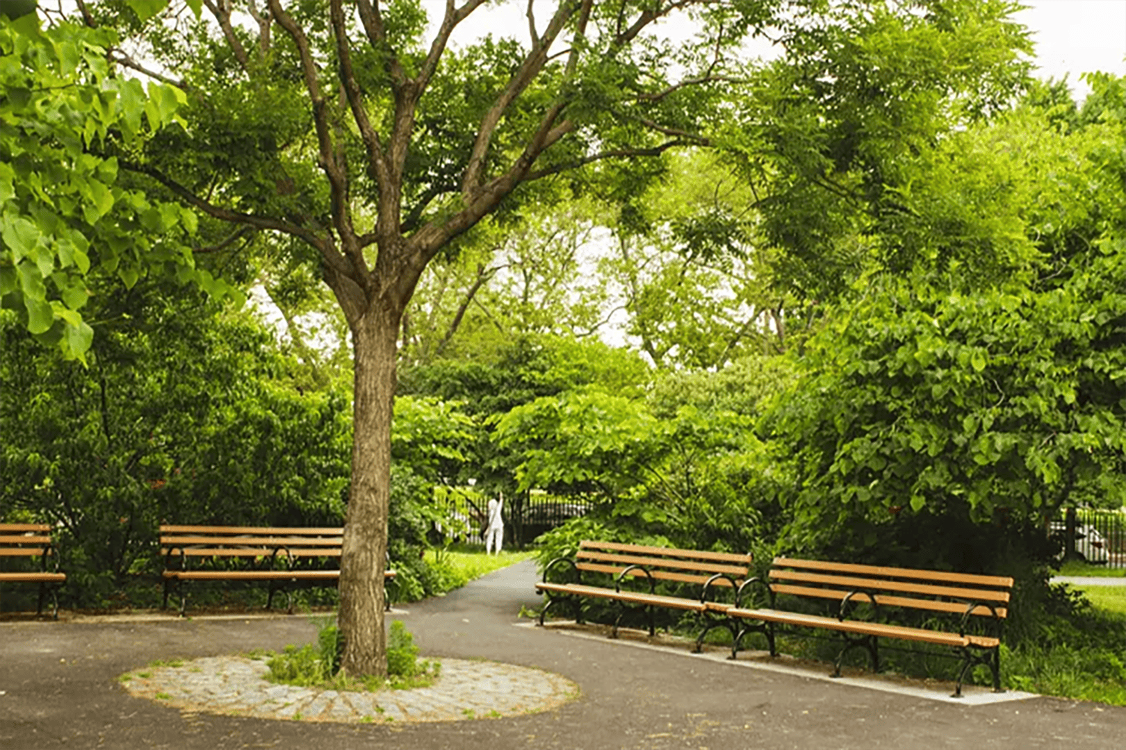 Outdoor Parks and Recreation in Williamsburg, Brooklyn